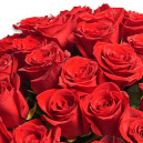 Букет 51 Красная роза Эксплорер
