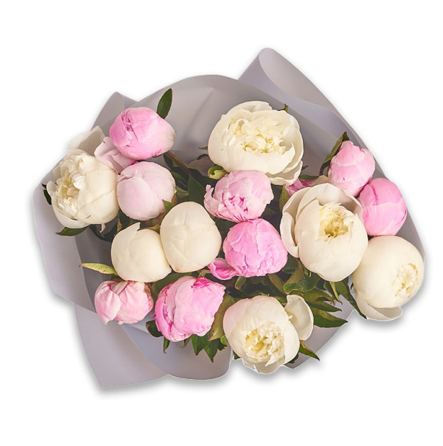 Bouquet of 15 Delicate Peony Mix