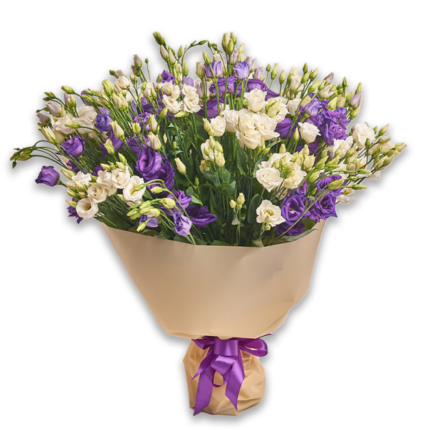 Bouquet 31 White and Purple Eustoma Mix