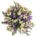Букет 31 Белая и Фиолетовая Эустома Микс