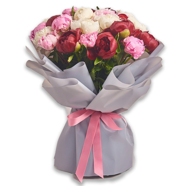 Букет 25 Півоній Мікс