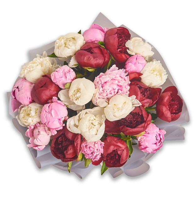 Букет 25 Півоній Мікс