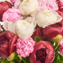 Букет 25 Пионов Микс