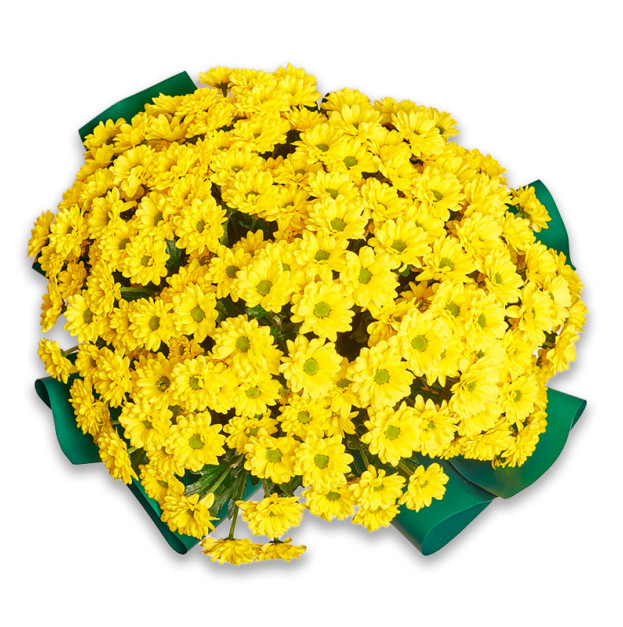 Букет 25 Жовтих хризантем Ромашок