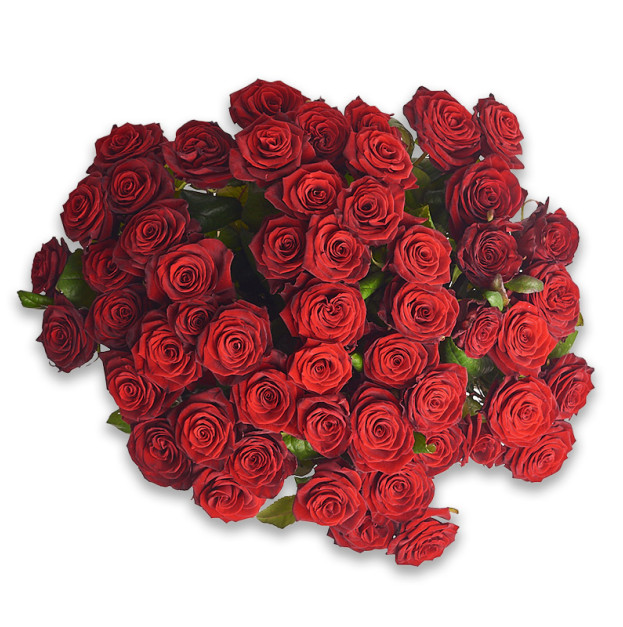 Bouquet 51 Red Rose Grand Prix