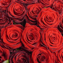 Букет 51 Красная Роза Гран При