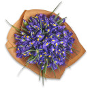 Bouquet 51 Iris