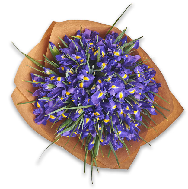 Букет 51 Ірис