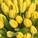 Букет 51 Жовтий тюльпан