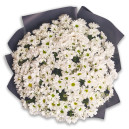 Букет 25 Білих хризантем Ромашок