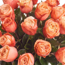 Букет 25 Троянд Кахала