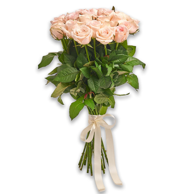 Букет 25 Кремових троянд