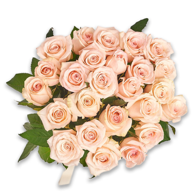 Букет 25 Кремових троянд