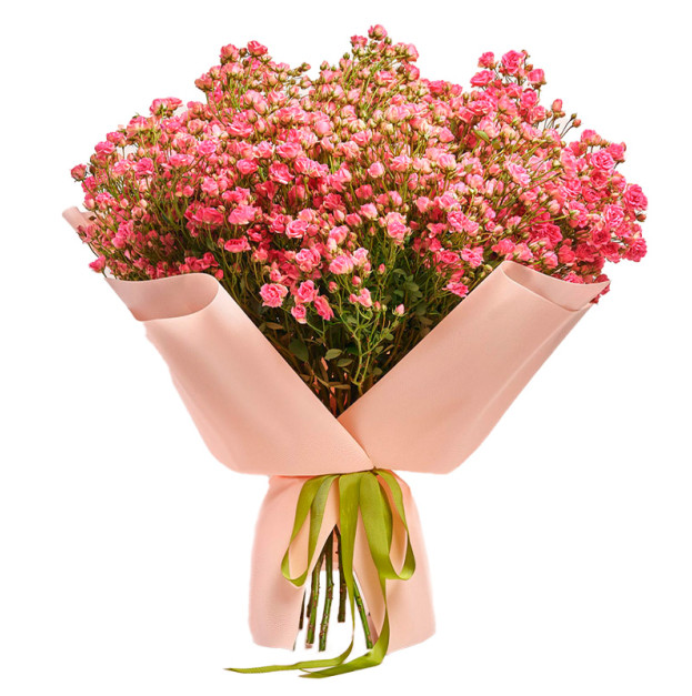 Bouquet of 25 Pink Spray Roses