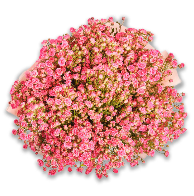 Bouquet of 25 Pink Spray Roses
