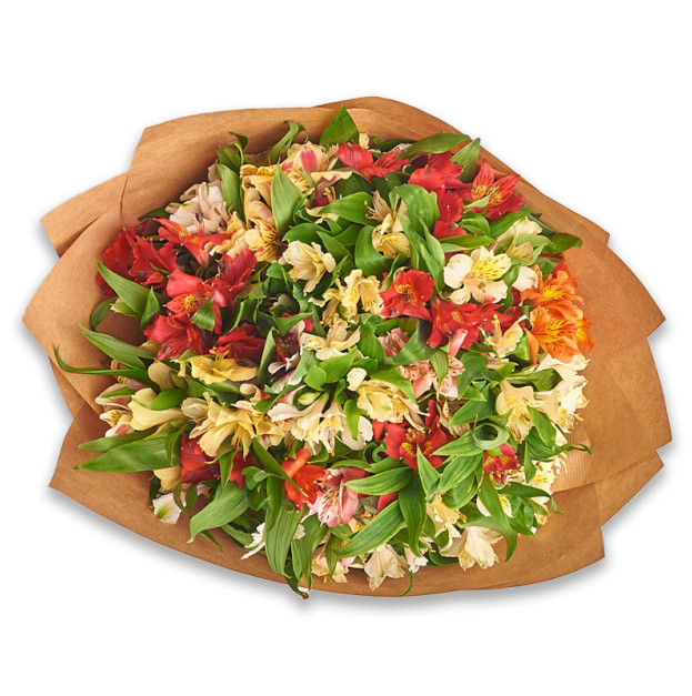 Букет 25 Альстромерій Мікс