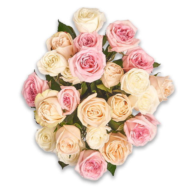 Букет 25 піоновидних Троянд мікс