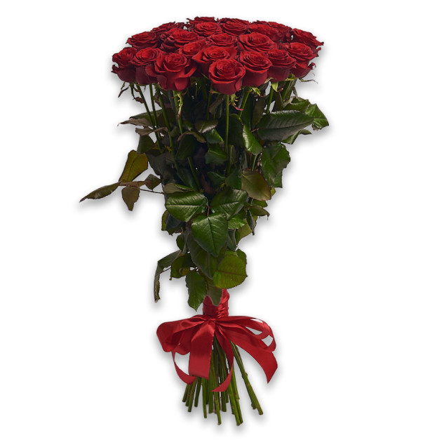 Bouquet of 25 Red Roses