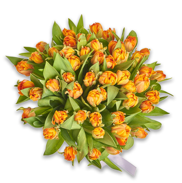 Bouquet 51 Orange Peony Tulip