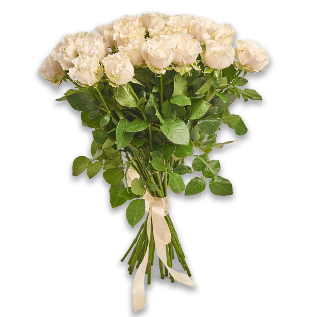 Букет 25 Білих піоновидних Троянд