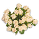 Букет 25 Белых пионовидных Роз