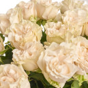 Букет 25 Белых пионовидных Роз