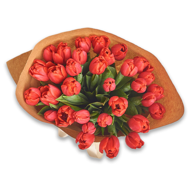 Букет 35 Червоних тюльпанів