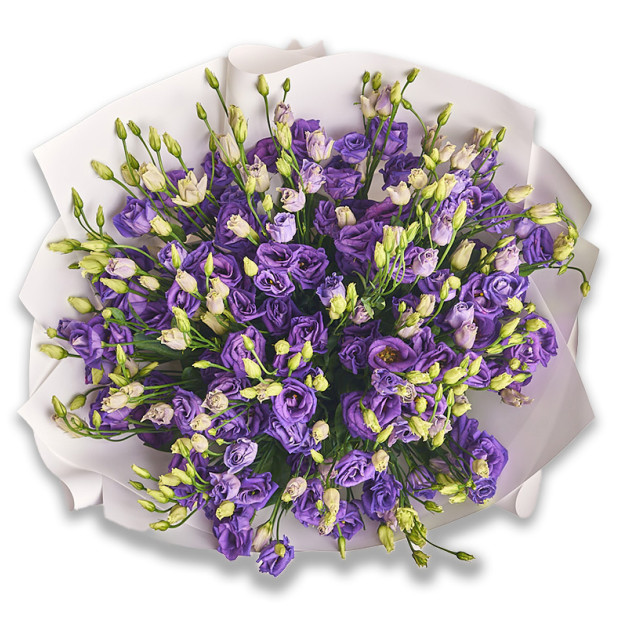 Bouquet 31 Purple Eustoma