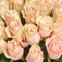 Bouquet of 25 Roses Pink Mondial