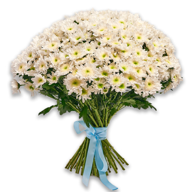 Букет 51 Біла Хризантема Радість