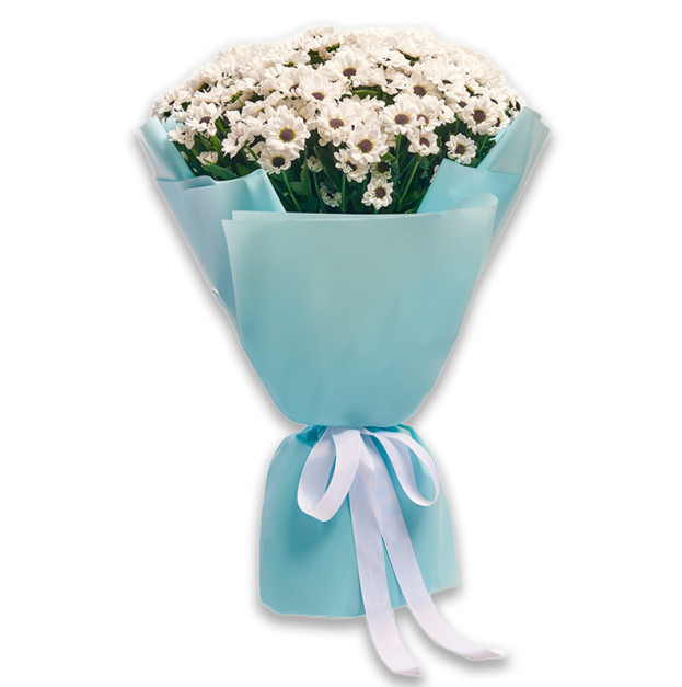 Букет 25 Білих Хризантем Сантіні