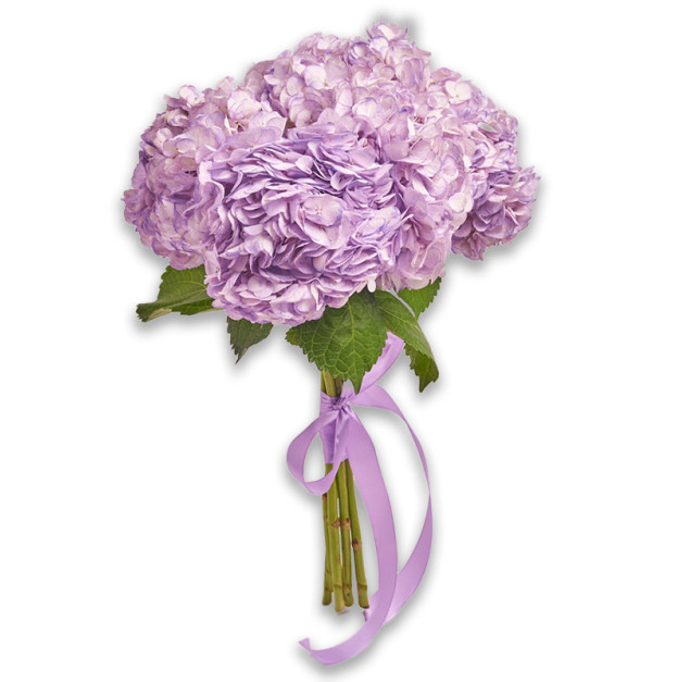 Букет 5 Лавандових Гортензій