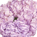 Bouquet of 5 Lavender Hydrangeas