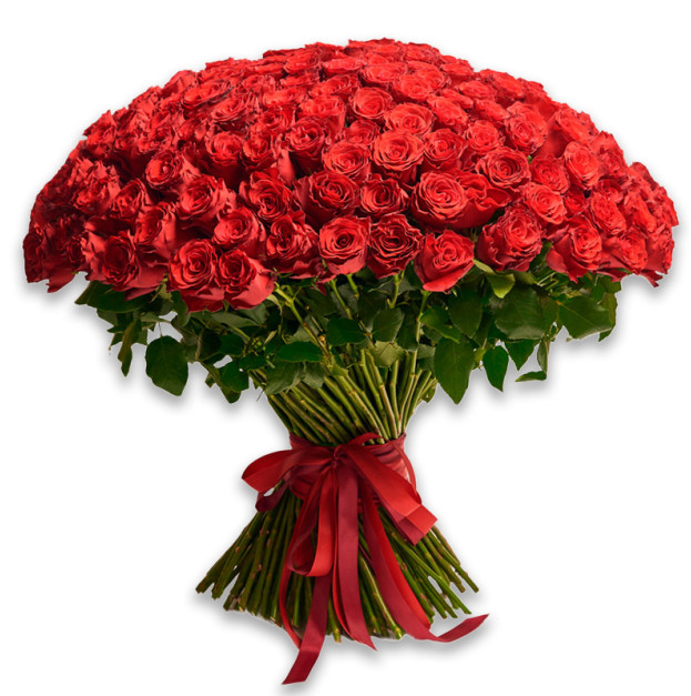 Bouquet 201 Red Rose