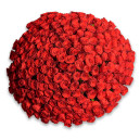 Bouquet 201 Red Rose
