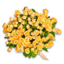 Bouquet 25 Roses Spray Trinity