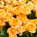 Bouquet 25 Roses Spray Trinity