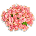 Букет 25 Троянд Атена Роял