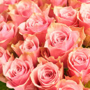 Букет 25 Троянд Атена Роял