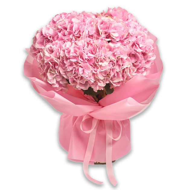 Букет 15 Рожевих Гортензій