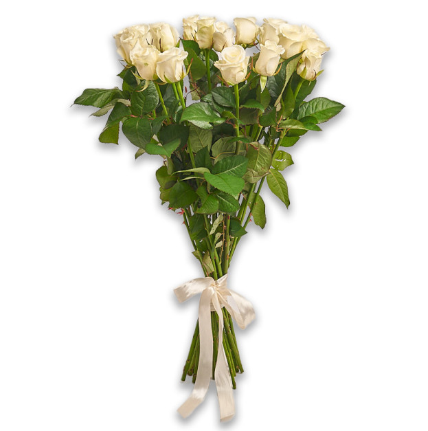 Букет 19 Білих Троянд