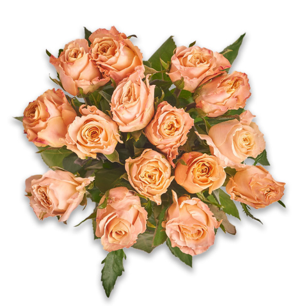 Букет 15 Троянд