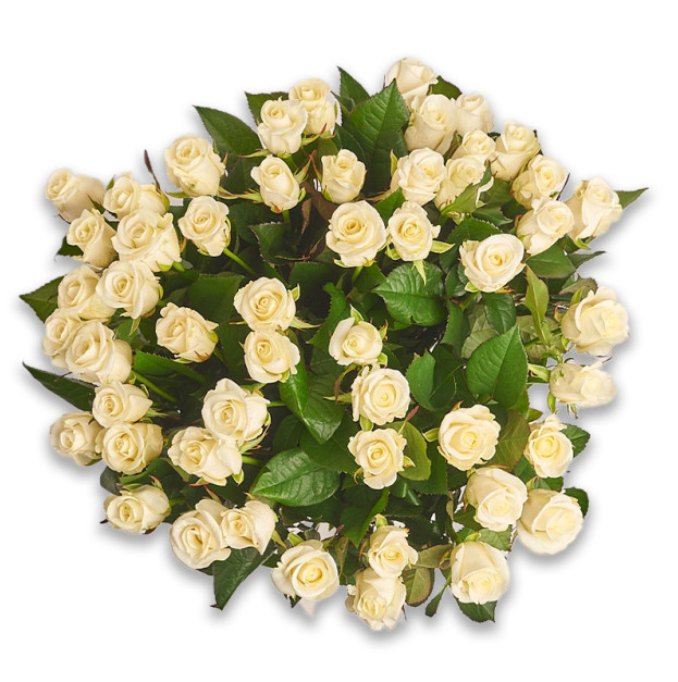 Букет 51 Троянда Белуга