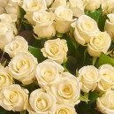 Bouquet 51 Rose Beluga