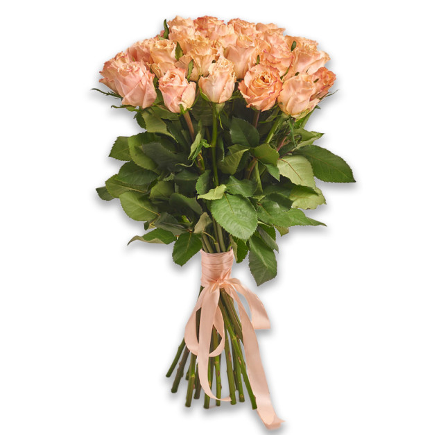 Букет 25 Троянд Шиммер