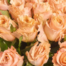 Букет 25 Роз Шиммер