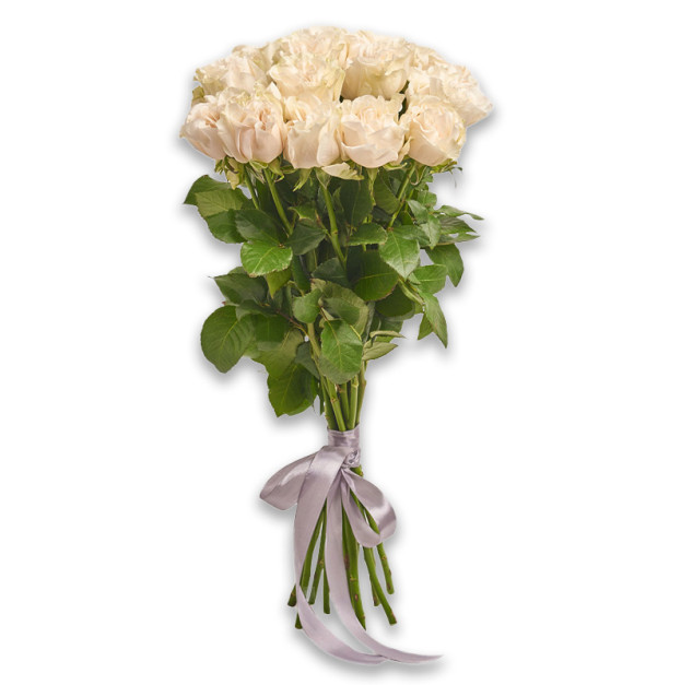 Букет 15 Білих піоновидних Троянд