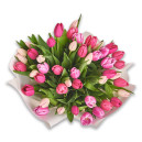 Букет 45 Тюльпанів мікс