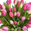 Букет 45 Тюльпанів мікс