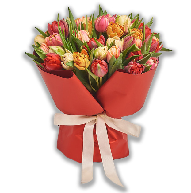 Букет 45 Піоновидних тюльпанів мікс